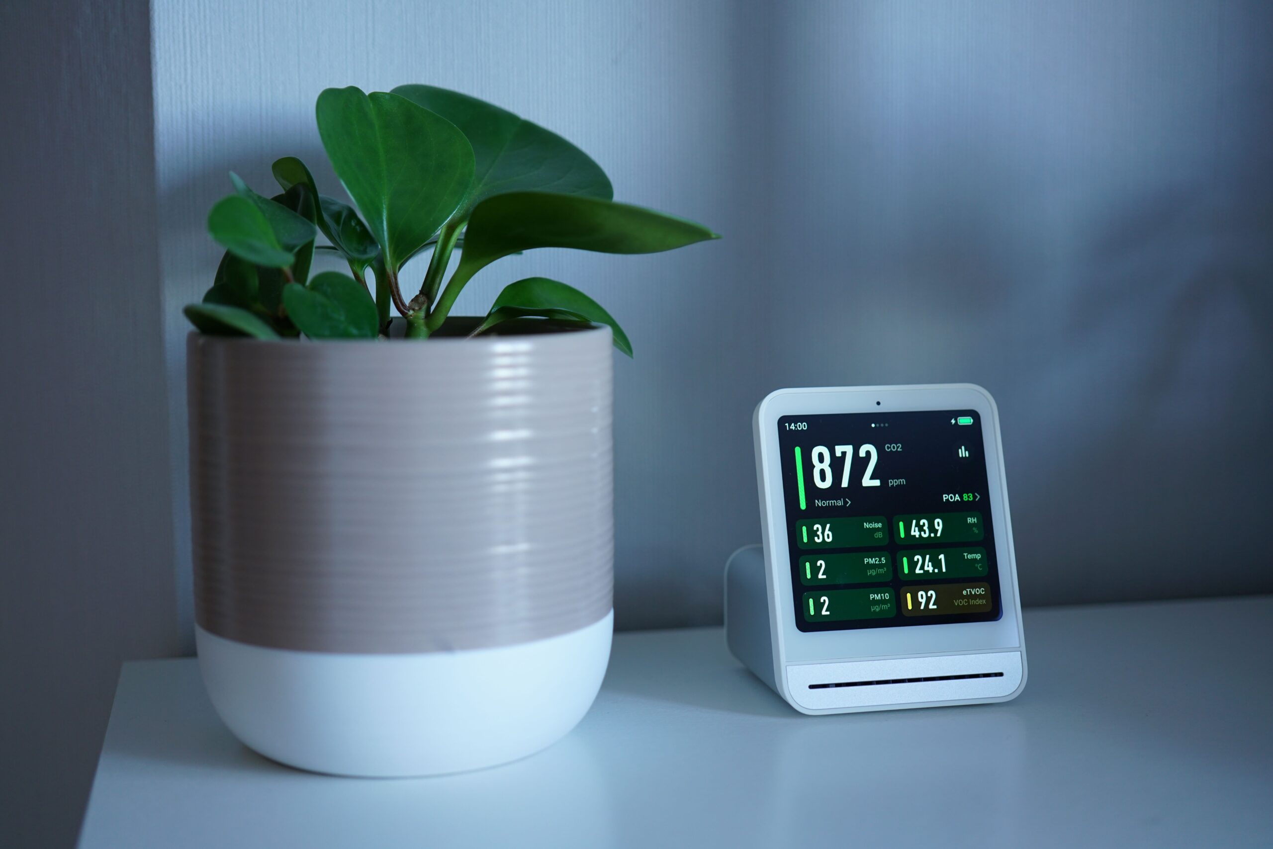 Matter Protocol Smart Home Devices: 9 Amazing Ways to Futureproof Your Home (Proven Guide) 1 Matter protocol smart home devices display on a white desk next to a green plant